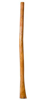 Gloss Finish Flared Didgeridoo (TW1192)
